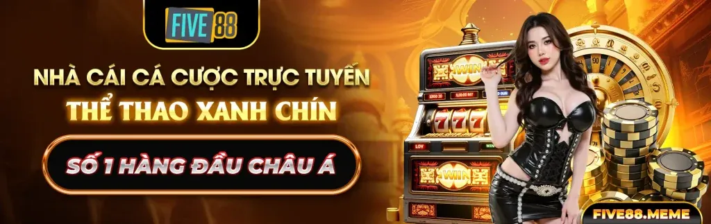 Hình ảnh đại diện cho việc tuân thủ GDPR của Ricvip Win
