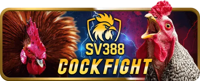 Vòng quay miễn phí hàng ngày Ricvip Win