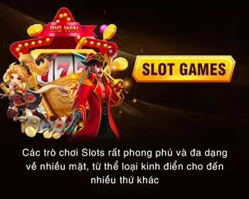 Tổng quan điều khoản dịch vụ Ricvip Win